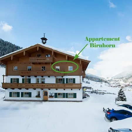 Riederhof Guest house *